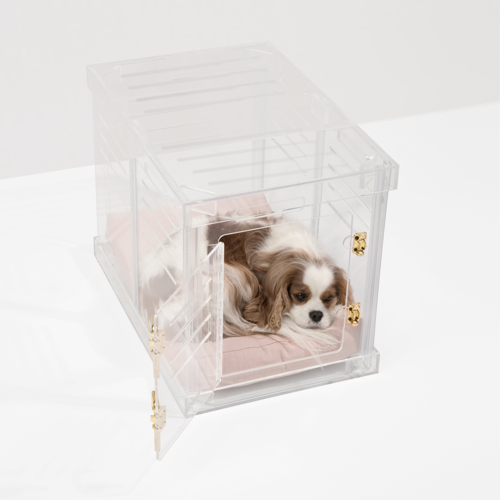 Small Crate (Gold Latch)