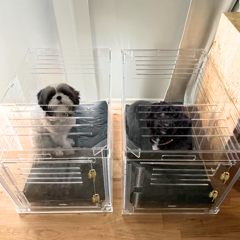 Large Crate (Gold Latch)