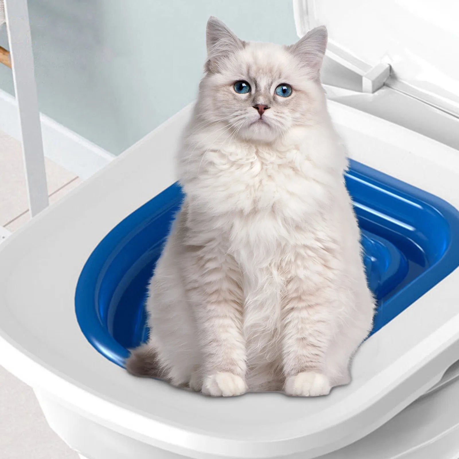 Reusable Cat Toilet Trainer Plastic Set Litter Box Mat