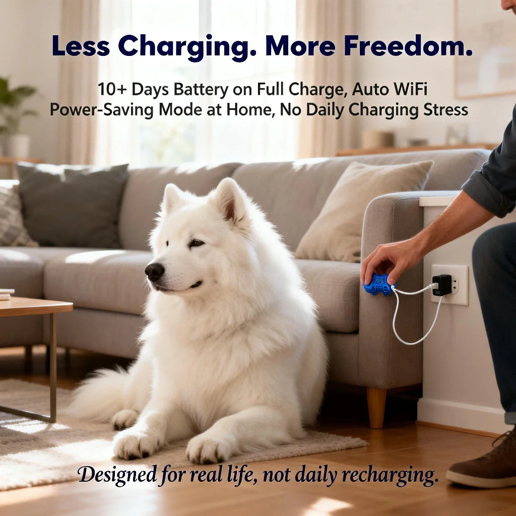 GPS Pet Real Time Tracker Unlimited Distance QR Code Locator - SIM Subscription Required