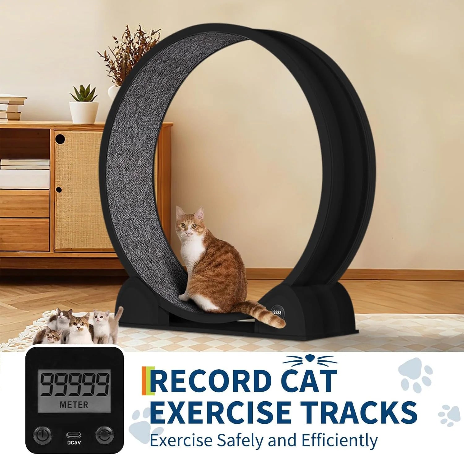 Exercise Wheel 45" Treadmill For Cats Quiet Running . Smart Pedometer