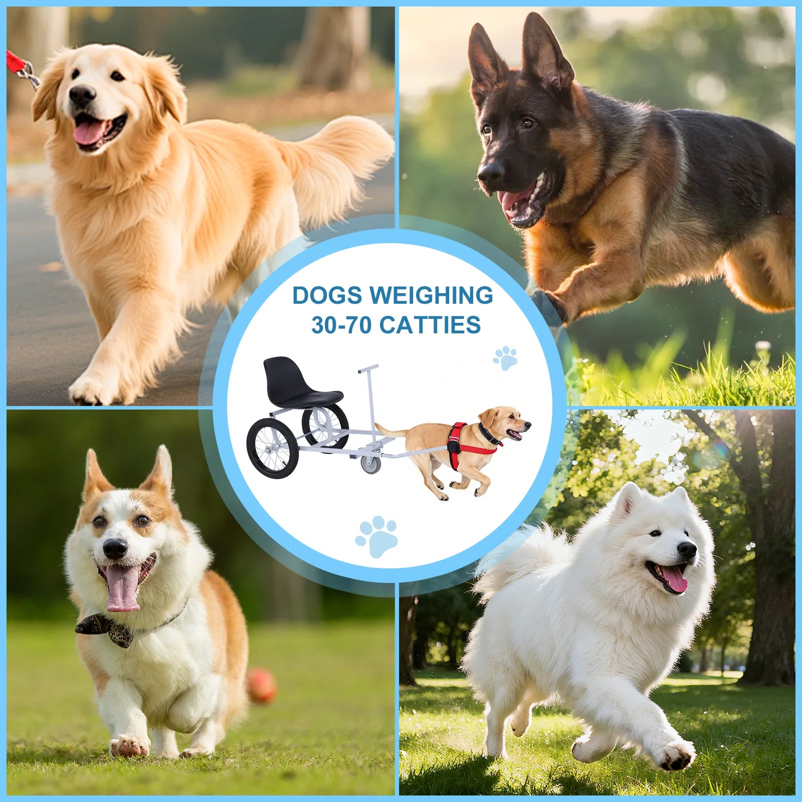Light Dog Pull Car with Armrests & Dog Leash