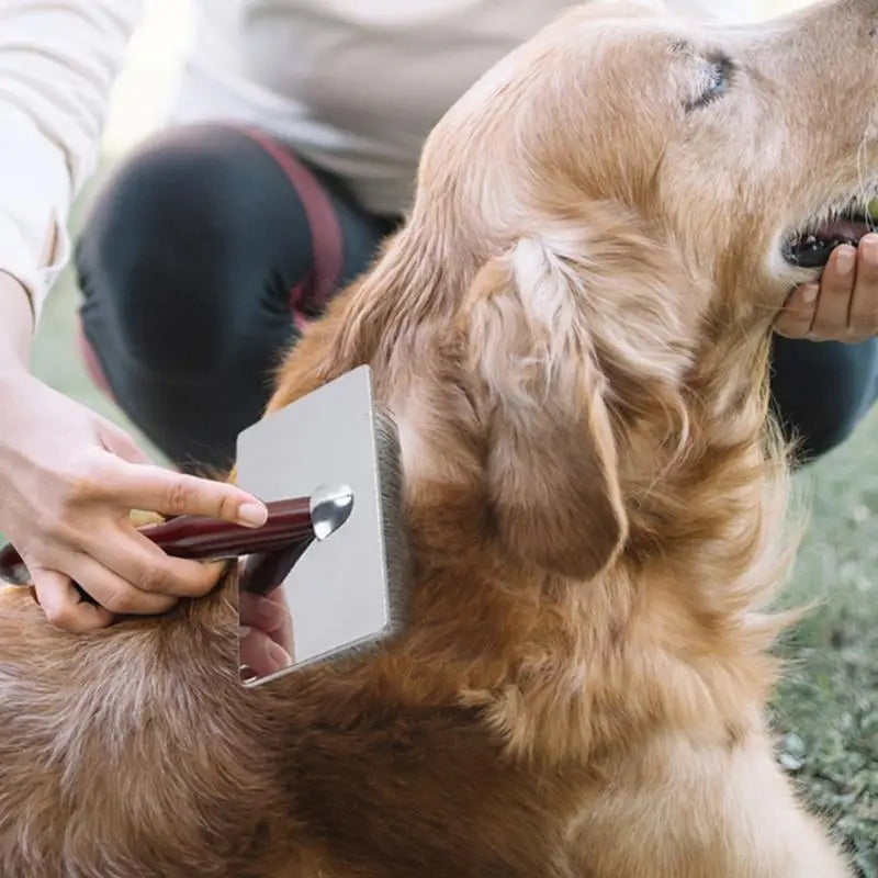 Pet Shedding Slicker Brush, Grooming, Massages, and Cleans Tangles