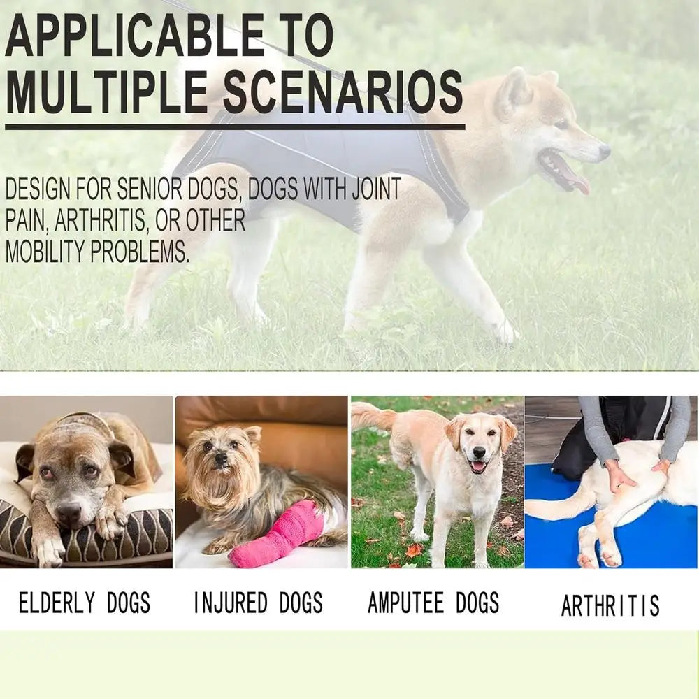 Supportive Harness Lifting Sling for Pet Mobility Assistance