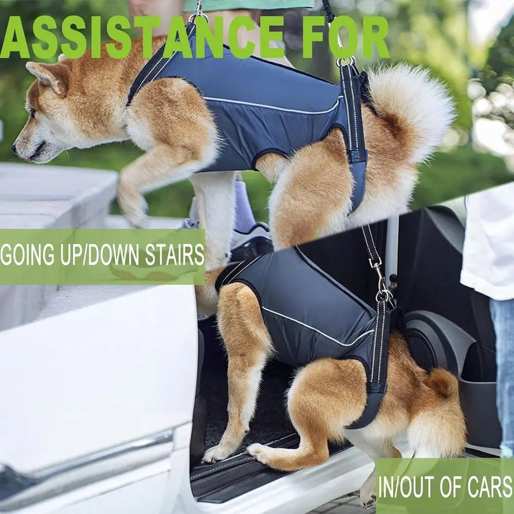 Supportive Harness Lifting Sling for Pet Mobility Assistance
