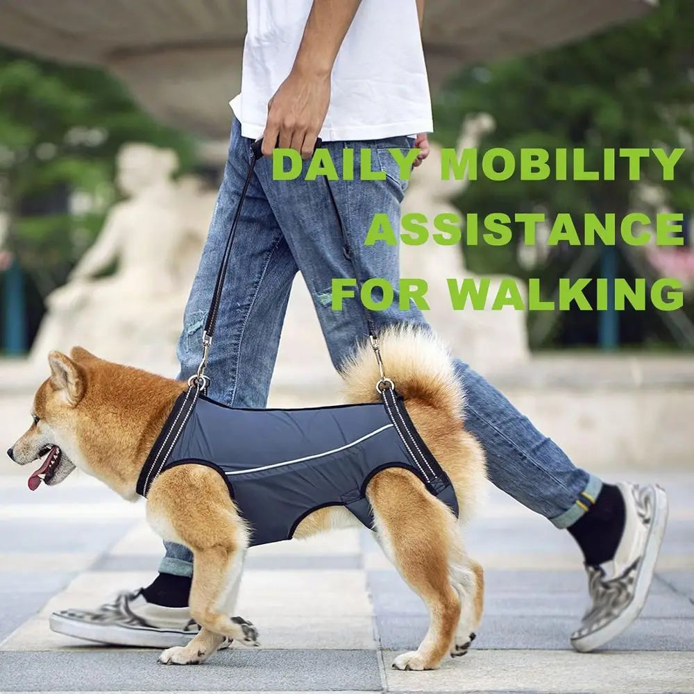 Supportive Harness Lifting Sling for Pet Mobility Assistance