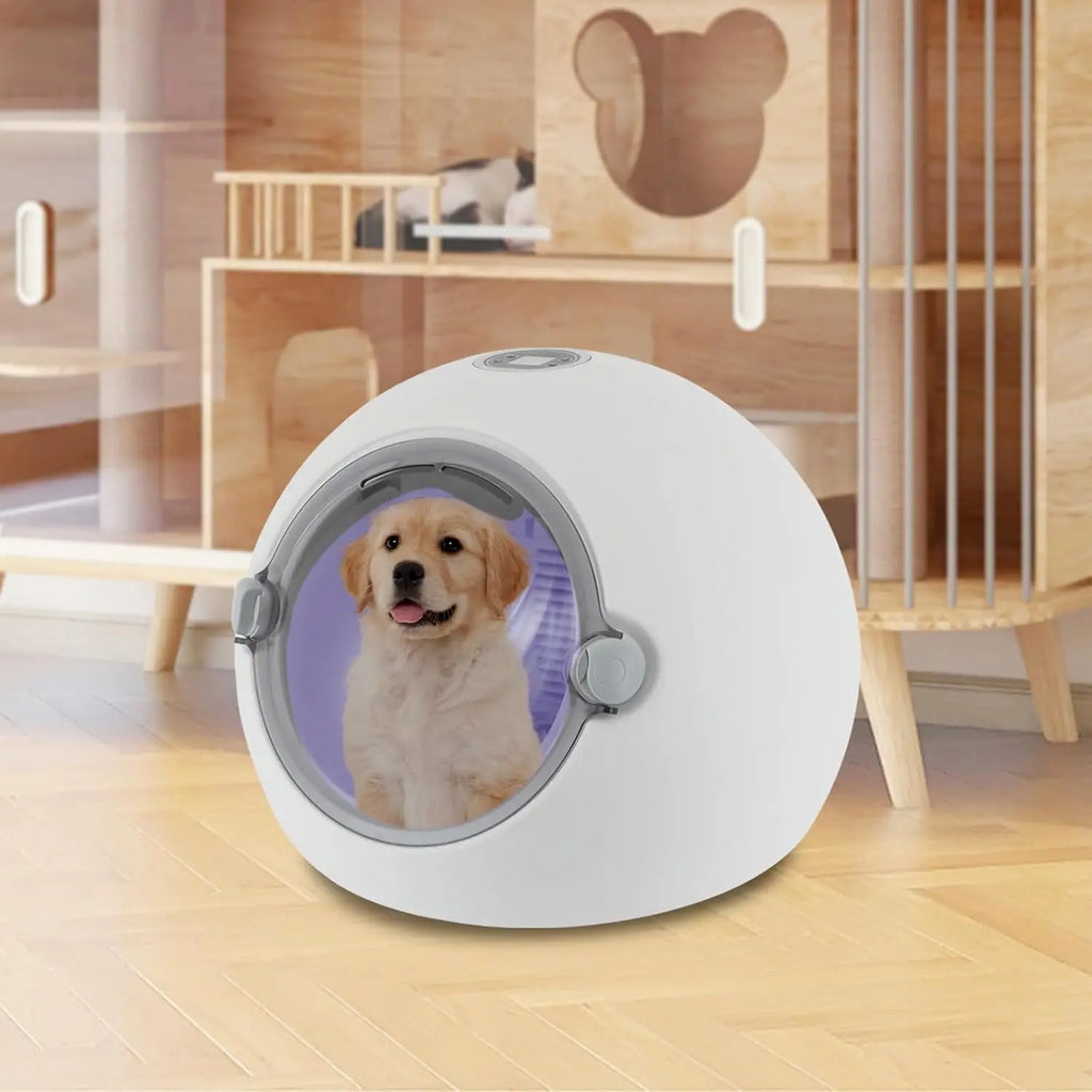 Portable Automatic Smart Temperature, LED, Ultra Quiet, Pet Dryer Box