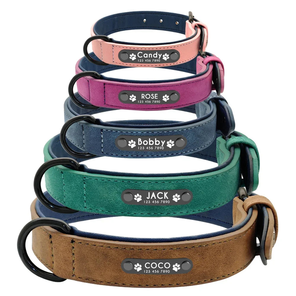Personalized Padded Pet Collar, Leather Leash - Small / Medium / Large Pets
