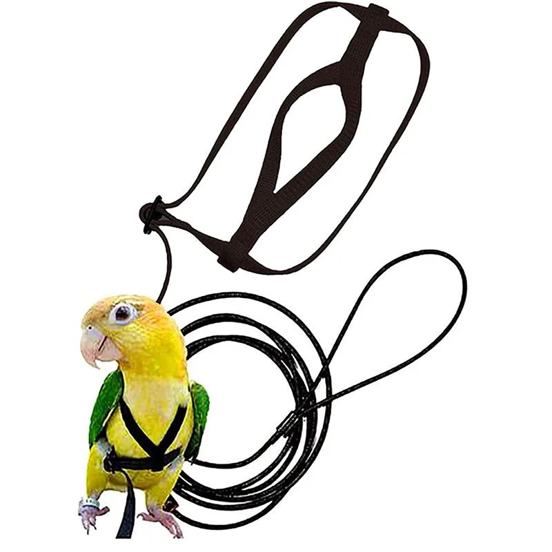 Bird Harness Leash, Outdoor Flying Traction Straps, Band Flying Rope