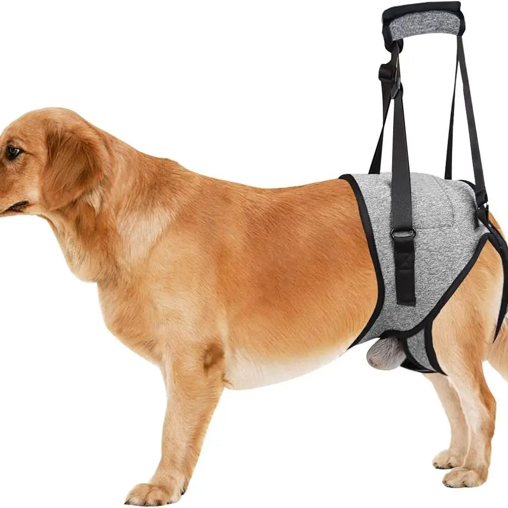Pet Support Sling, Adjustable Padded Harness for Pets, Size Large