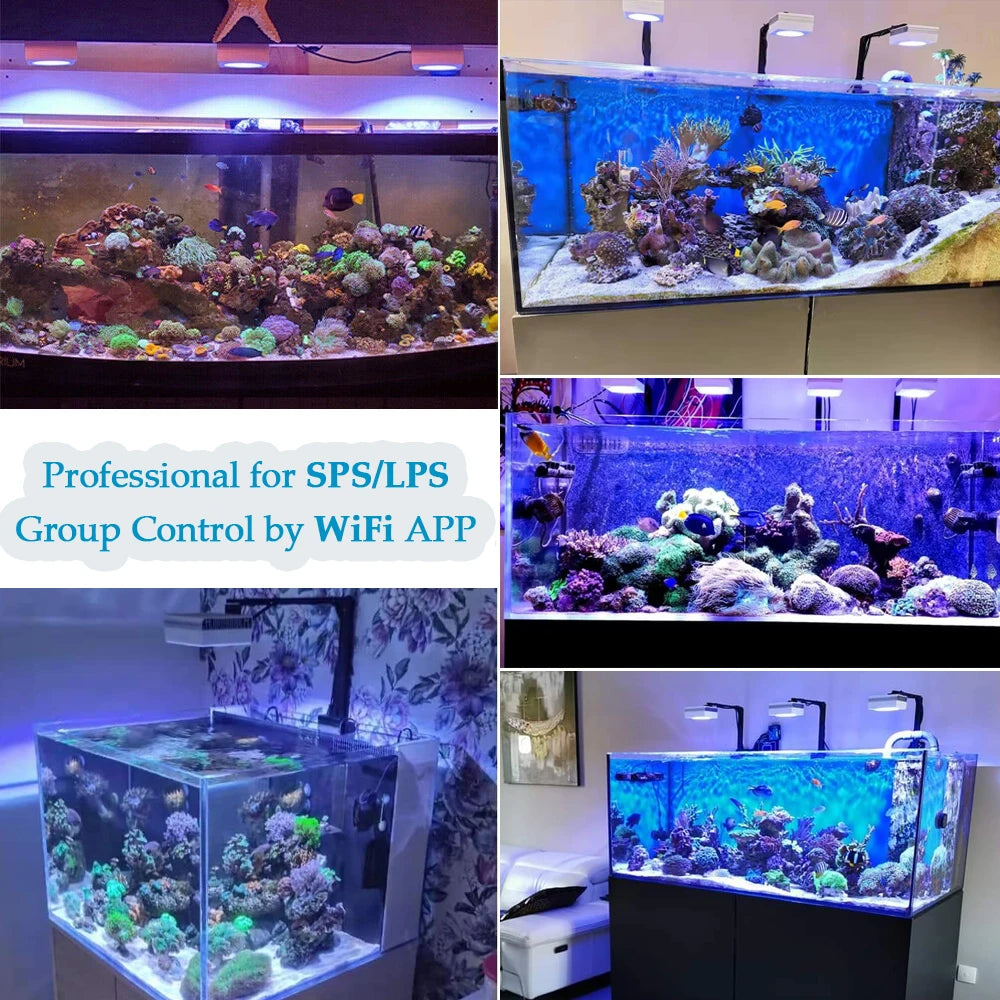 WiFi LED 100W Reef, Grow, Aquarium Tank Lighting