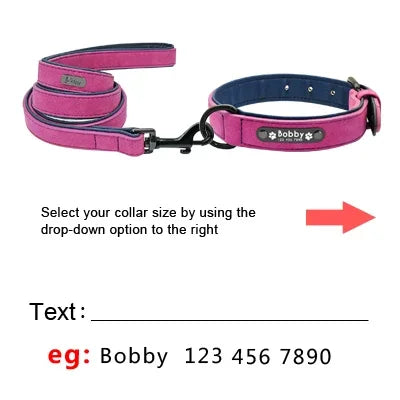 Personalized Padded Pet Collar, Leather Leash - Small / Medium / Large Pets