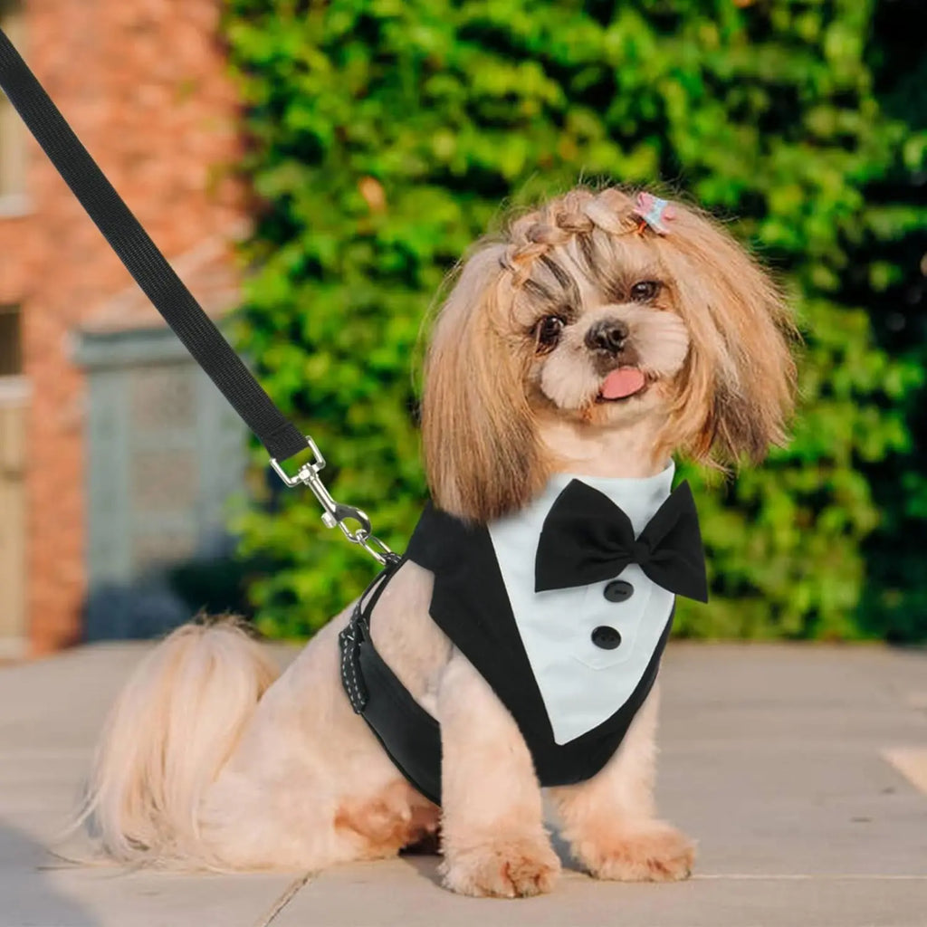 Dog Tuxedo Harness Bow Tie, Wedding Engagement. Birthday, Costume, Formal
