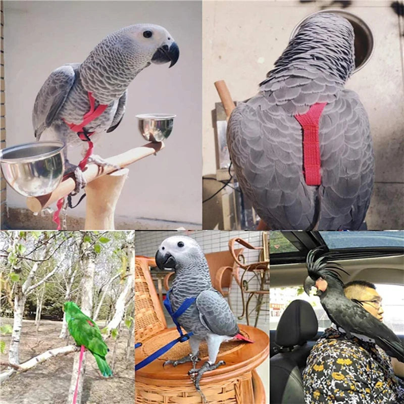 Bird Harness Leash, Outdoor Flying Traction Straps, Band Flying Rope