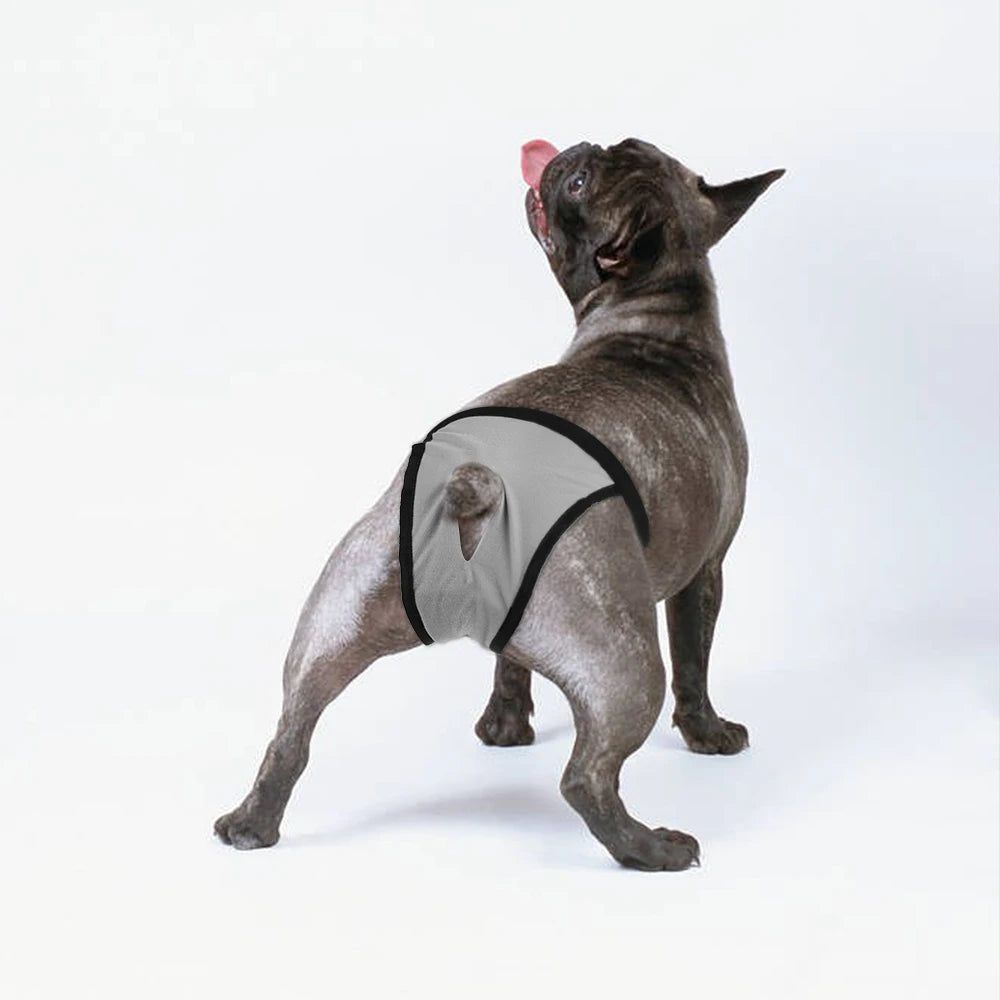Reusable Female Dog Diapers Adjustable In Heat Sanitary Underwear