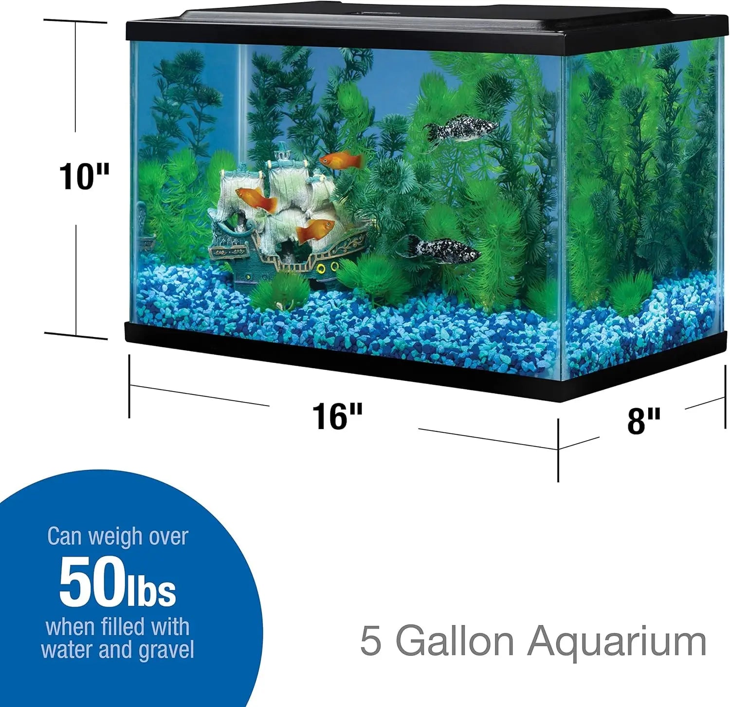 5.5 Gallon Rectangular Glass Fish Tank Aquarium, 16x8x10 Inches