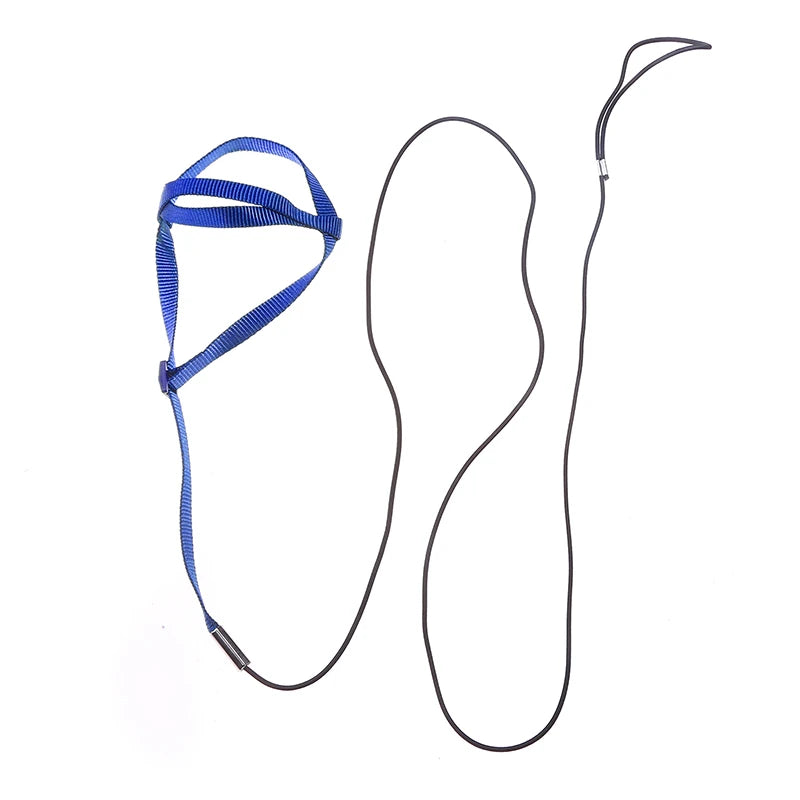 Bird Harness Leash, Outdoor Flying Traction Straps, Band Flying Rope