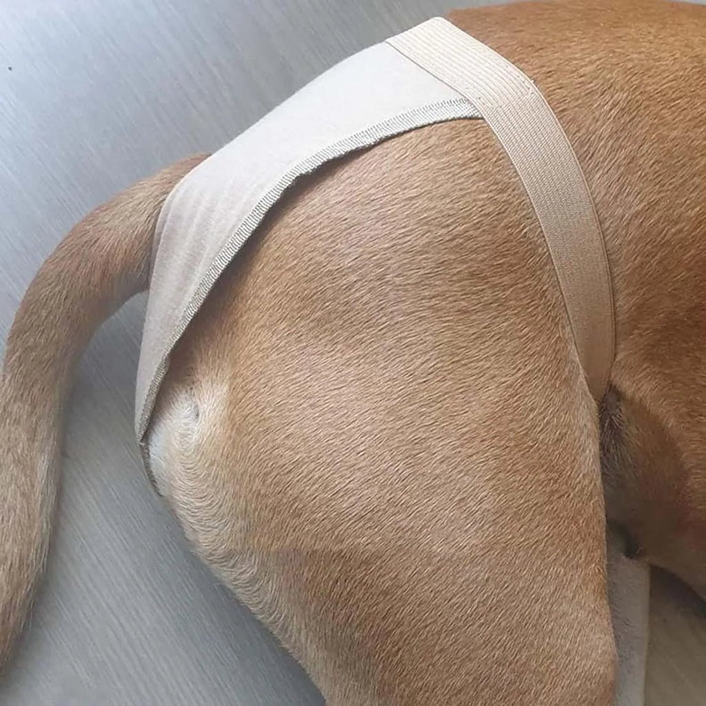 Reusable Female Dog Diapers Adjustable In Heat Sanitary Underwear