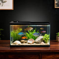 13-Gallon Aquarium Kit with Light, for Betta & Shrimp