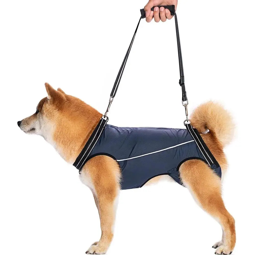 Supportive Harness Lifting Sling for Pet Mobility Assistance