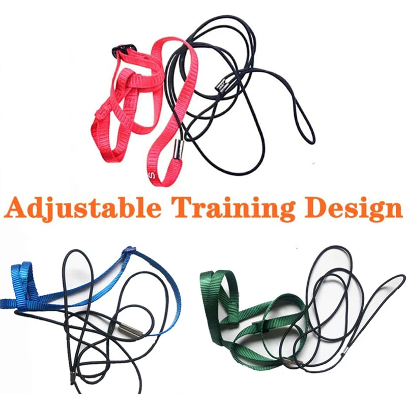 Bird Harness Leash, Outdoor Flying Traction Straps, Band Flying Rope