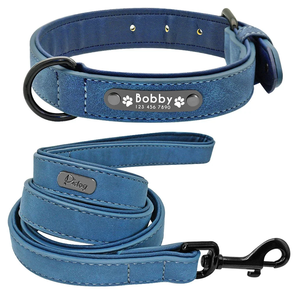 Personalized Padded Pet Collar, Leather Leash - Small / Medium / Large Pets