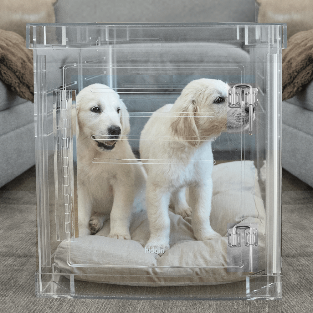 Medium Crate (Silver Latch)