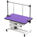 Hydraulic 42 Inch Pet Grooming Heavy Duty Height Adjustable Table