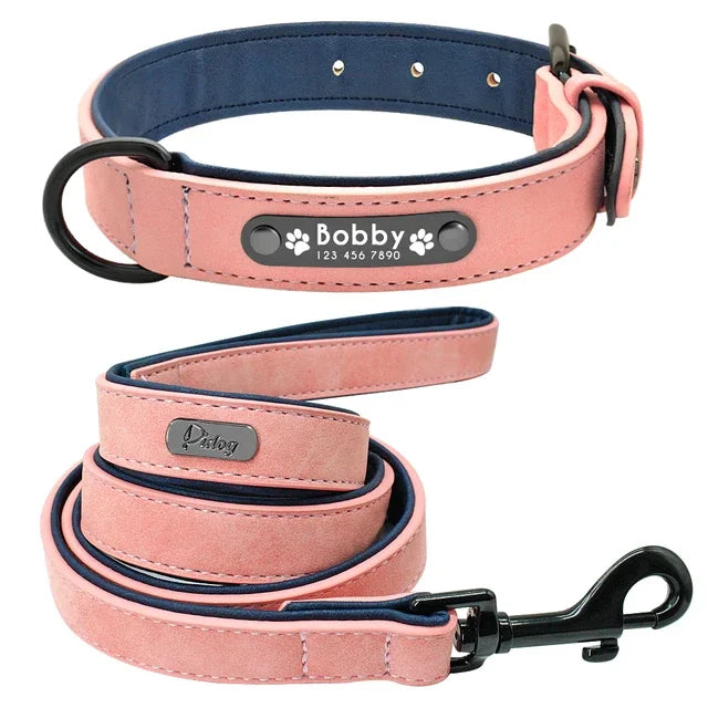 Personalized Padded Pet Collar, Leather Leash - Small / Medium / Large Pets