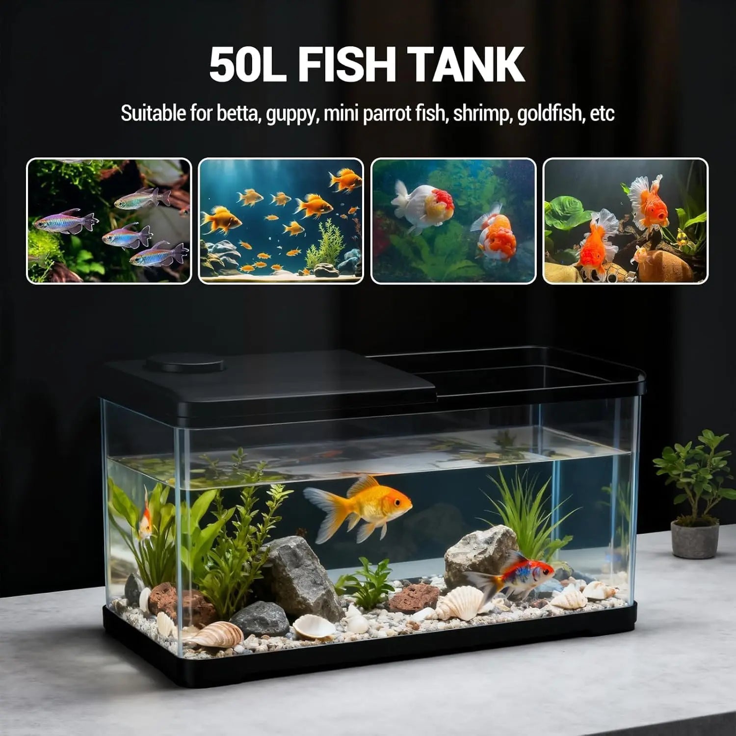13-Gallon Aquarium Kit with Light, for Betta & Shrimp