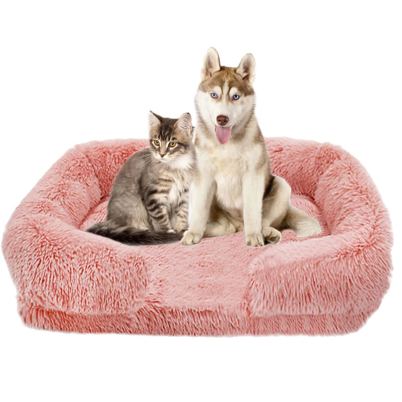Thick orthopedic, egg sponge, small to extra large pet furniture, washable cover