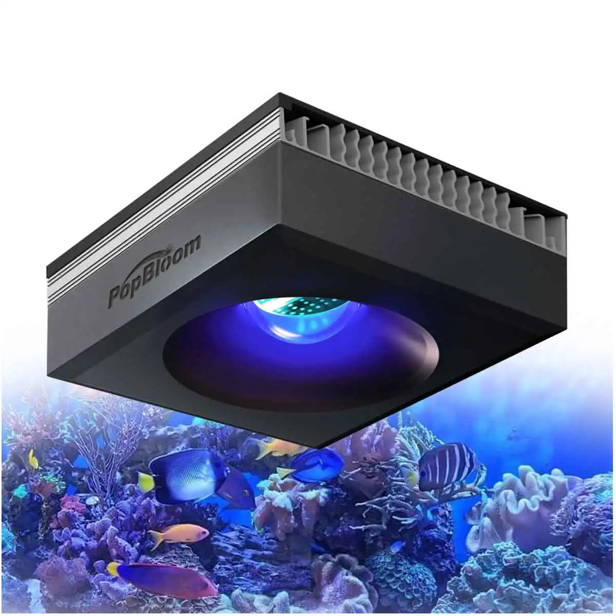 100 Watts  WiFi controlled Reef Aquarium Light