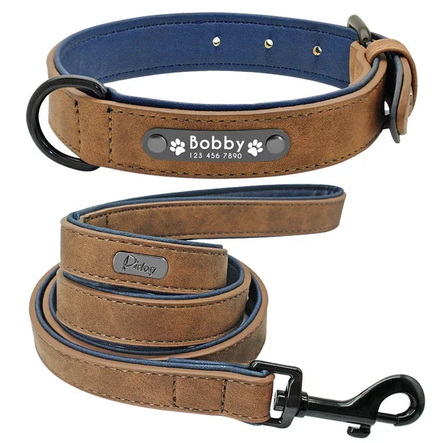 Personalized Padded Pet Collar, Leather Leash - Small / Medium / Large Pets