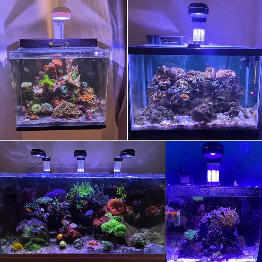 Marine Aquarium LED Lamp for 30-70cm Reef Saltwater Tank