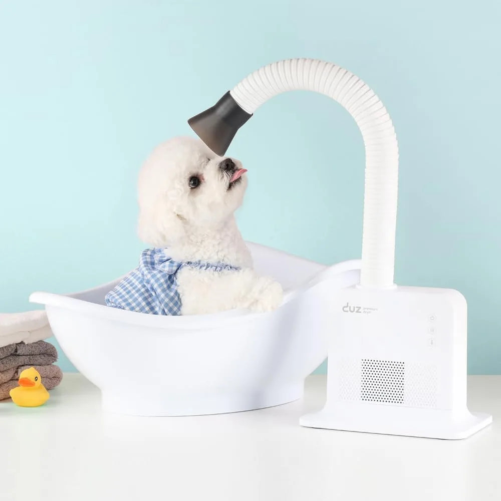 Energy-Efficient Pet Grooming Dryer: Powerful, Hands-Free Operation