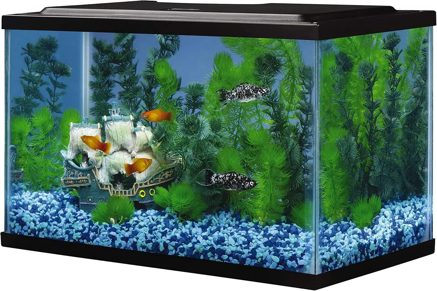 5.5 Gallon Rectangular Glass Fish Tank Aquarium, 16x8x10 Inches