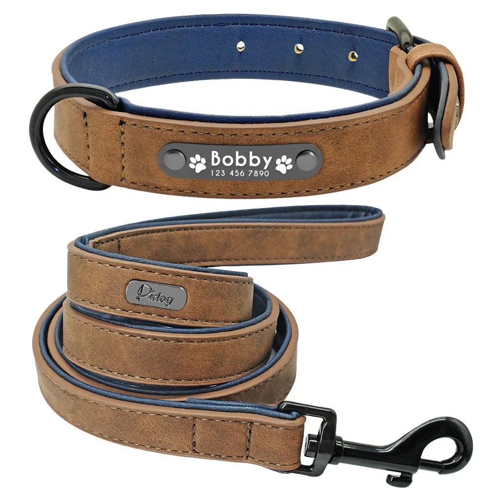Personalized Padded Pet Collar, Leather Leash - Small / Medium / Large Pets
