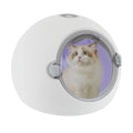 Portable Automatic Smart Temperature, LED, Ultra Quiet, Pet Dryer Box