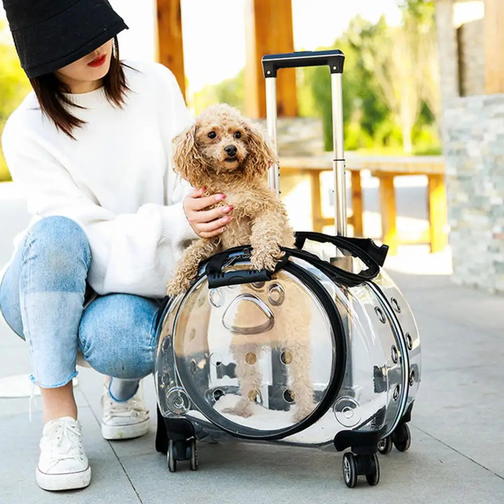 Portable Pet Trolley Case with Ventilation Holes Wheeled Travel Backpack