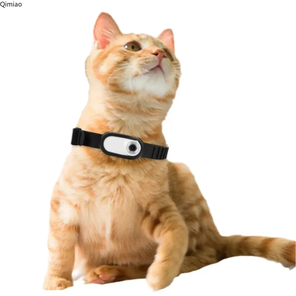 Pet Recorder Anti-shake Pet View Camera Collar Outdoor Sports